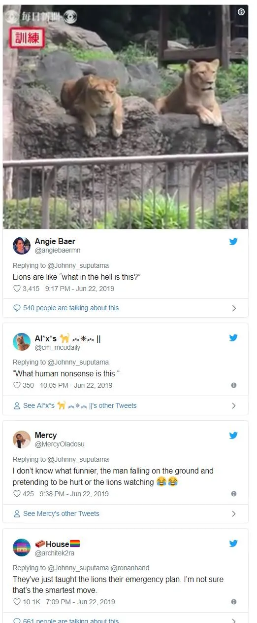 publive-image