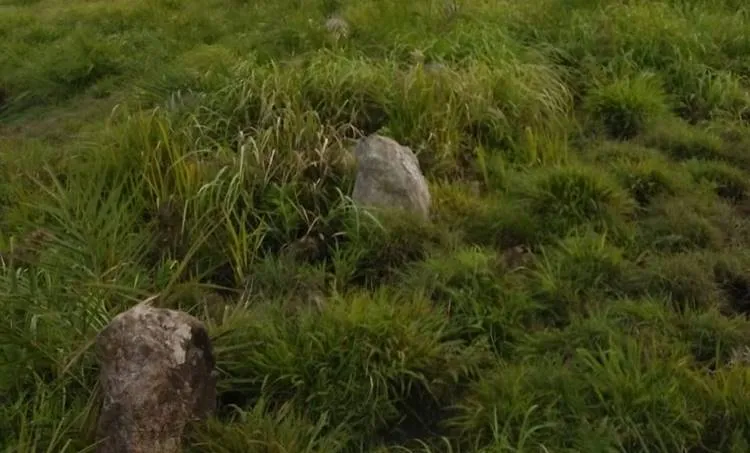 Udumbanchola, menhir, ie malayalam