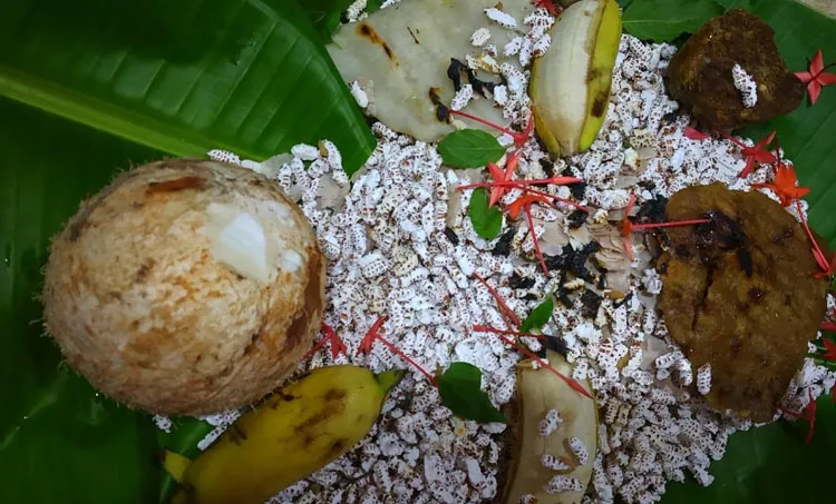 usha s, karkkidaka vavu ,iemalayalam