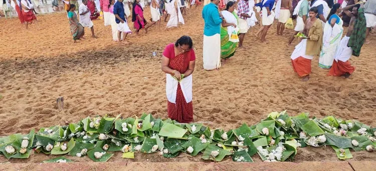 usha s, karkkidakavavu memories, iemalayalam