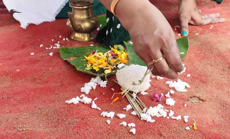 usha s, karkkidakavavu memories, iemalayalam