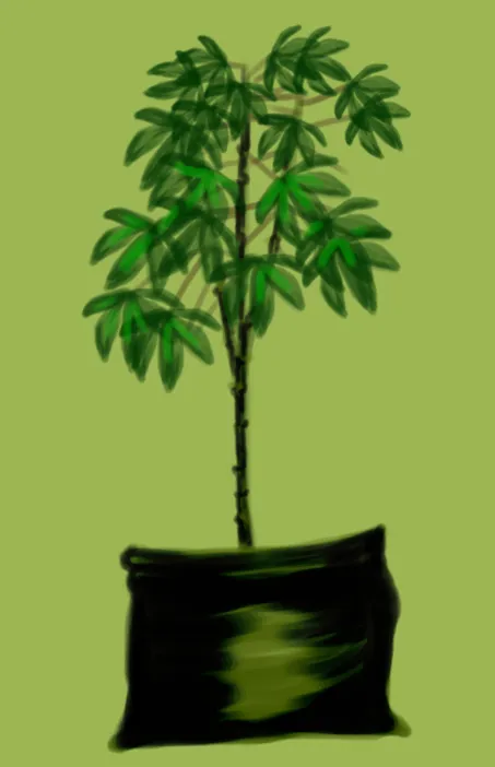 friendship day quotes, friendship day 2019, friendship day images, friendship day photos, friendship day shayari, friendship day cards, friendship day wishes, friendship day whatsapp status