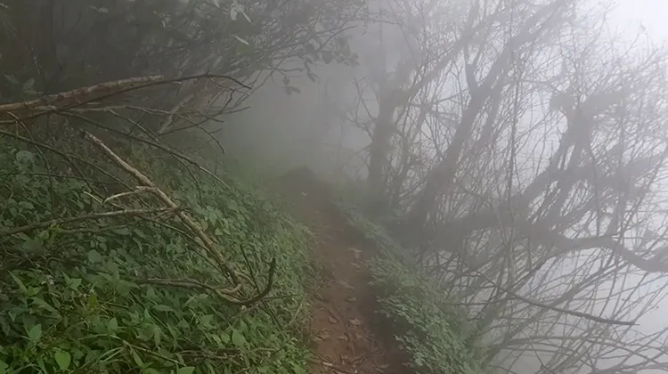 Kudajadri trip, Kudajadri travel, Kodachadri trip, Kodachadri travel, കുടജാദ്രി, കുടജാദ്രി യാത്ര, കുടജാദ്രി ട്രാവലോഗ്, കുടജാദ്രി യാത്രാവിവരണം, Kollur travel, Kollur Mookambika, Souparnika, Souparnika river, Chithramoola, Sarvanjapeedam, കൊല്ലൂർ മൂകാംബിക, ചിത്രമൂല, സർവ്വഞ്ജ പീഠം, സൗപർണിക, Kollur hotels, Mookambika route, Mookambika hotels, Mookambika bus