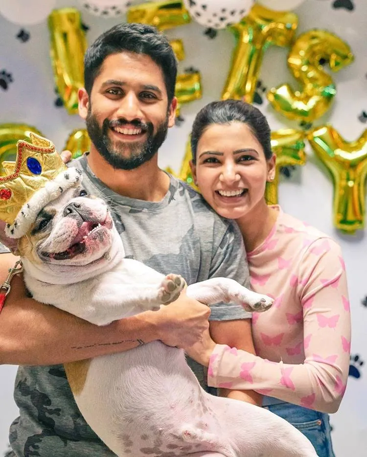 Samantha Akkineni, സാമന്ത അക്കിനേനി, Samantha pet Bugaboo, സാമന്തയുടെ വളർത്തു നായ, Samantha pet hash, Samantha instagram post, ie malayalam, ഐഇ മലയാളം