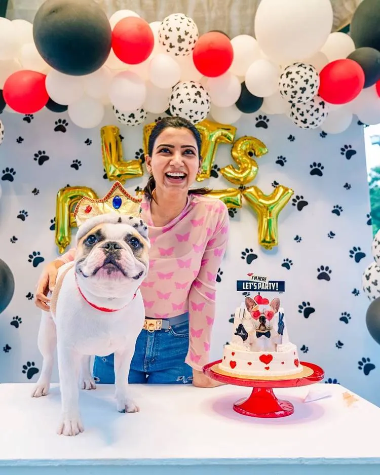 Samantha Akkineni, സാമന്ത അക്കിനേനി, Samantha pet Bugaboo, സാമന്തയുടെ വളർത്തു നായ, Samantha pet hash, Samantha instagram post, ie malayalam, ഐഇ മലയാളം