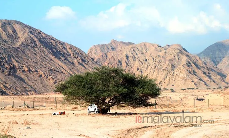 Jebel Jais, ജബല്‍ജൈസ്, Jebel Jais mountains, ജബല്‍ജൈസ് മലനിരകൾ, Ras al Khaimah, റാസല്‍ഖൈമ, UAE, യുഎഇ, Oman, ഒമാൻ, Travelogue, യാത്രാവിവരണം, Gulf news, ഗൾഫ് വാർത്തകൾ, IE Malayalam, ഐഇ മലയാളം