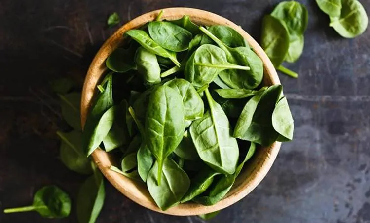 Spinach, ie malayalam