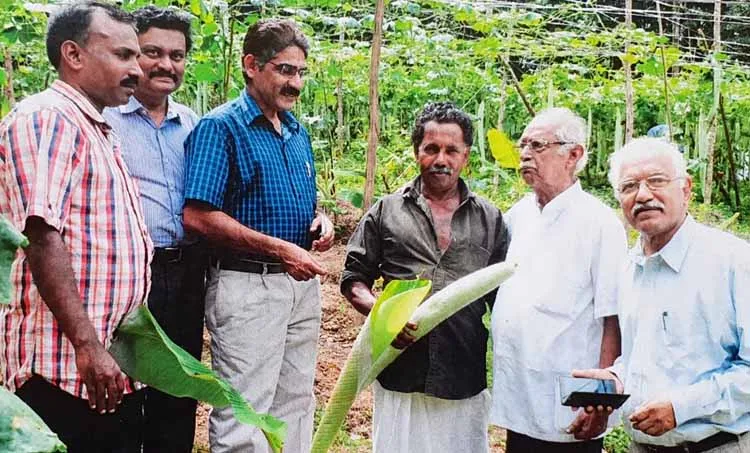 haly, sajan govindan, iemalayalam