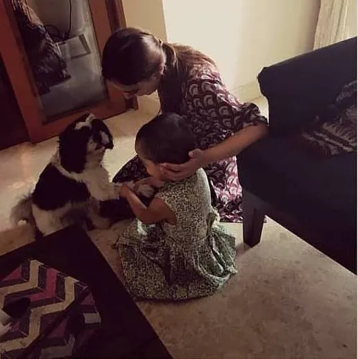 nazriya nazim, നസ്രിയ, fahadh faasil, ഫഹദ്, prithviraj, അലംകൃത, alamkritha, ie malayalam, ഐഇ മലയാളം