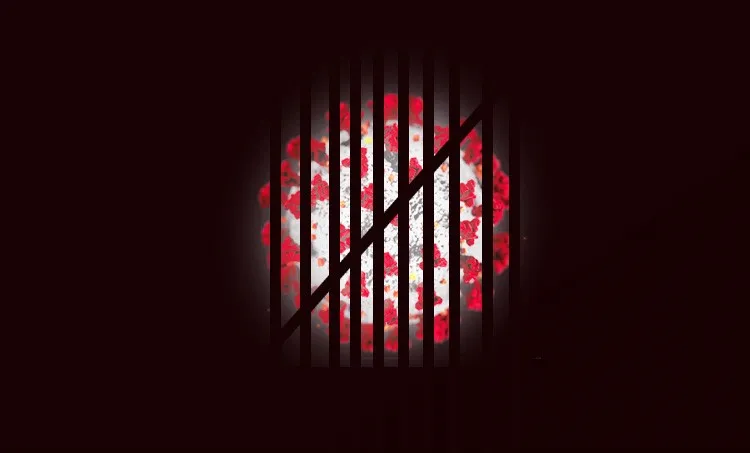 publive-image