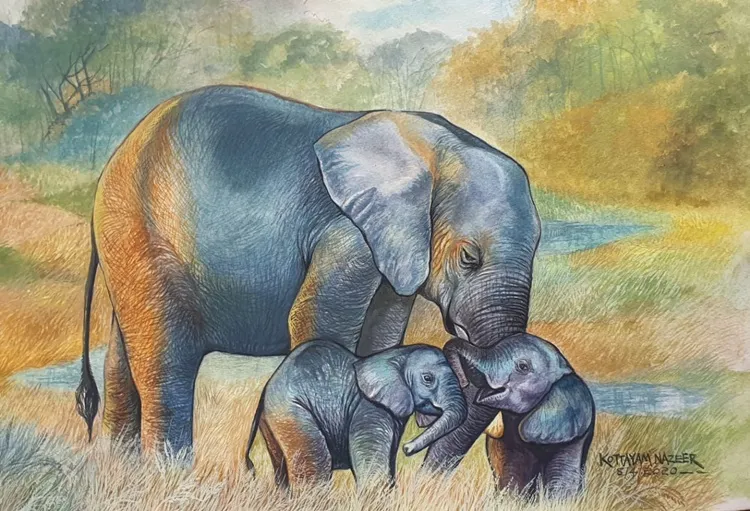 Kottayam Nazeer Paintings