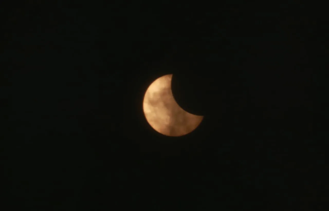 publive-image