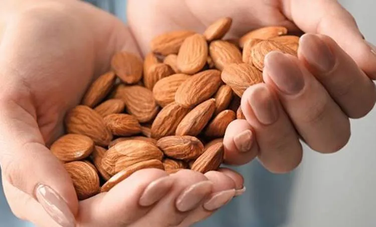 almonds, ie malayalam