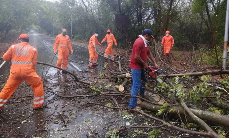 cyclone nisarga, cyclone nisarga maharashtra, mumbai cyclone nisarga, mumbai weather news, mumbai weather updates, cyclone maharashtra