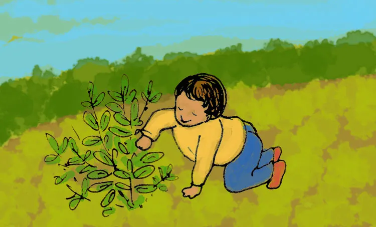 VH Nishad Novel, Bhoomiyude Alamara, Malayalam Novel, Novel, VH Nishad, Childrens's Literature, ഭൂമിയുടെ അലമാര, വിഎച്ച് നിഷാദ്, ബാല സാഹിത്യം, കുട്ടികളുടെ നോവൽ, നോവൽ, Online Literature, ഓൺലൈൻ സാഹിത്യം, IE Malayalam, ഐഇ മലയാളം