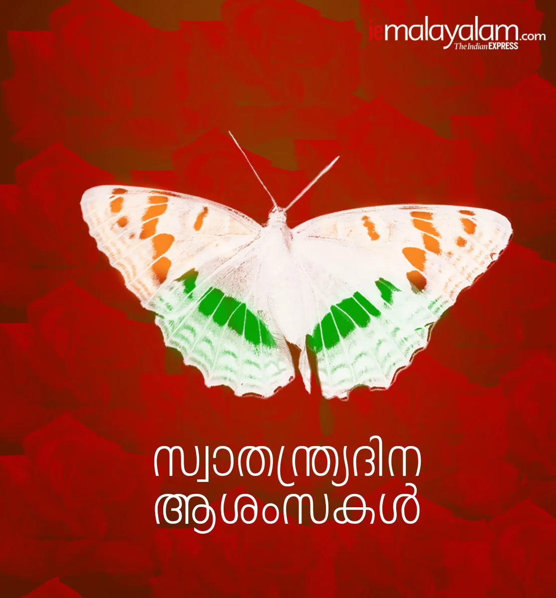 india independence day, Swatantrata diwas 2020, Independence Day, Independence Day 2020, Happy Independence Day, 15 August Independence Day, India News, Live News, Independence Day News, Happy Independence Day 2019, 15 August History, 15 August Significance, 15 August Importanc, സ്വാതന്ത്ര്യദിനം, ആശംസകള്‍, സന്ദേശങ്ങള്‍