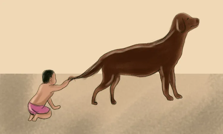 rajalakshmi, childrens novel, iemalayalam