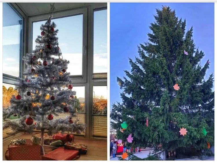 christmas, ക്രിസ്മസ്, happy christmas, ഹാപ്പി ക്രിസ്മസ്, christmas greetings, ക്രിസ്മസ് ആശംസകൾ, christmas memories, ക്രിസ്മസ് ഓർമ, christmas celebration in norway, നോർവേയിലെ ക്രിസ്മസ് ആഘോഷം, Jul, Christmas, 'യൂൾ ', ക്രിസ്മസ്, Adventstiden, അഡ്വെണ്ട് റ്റിടൻ, Julaften, Christmas Eve, യൂളെ ആഫ്തെൻ, ക്രിസ്മസ് രാവ്, Julemarked, christmas market, യൂളെ മാർകെ, ക്രിസ്മസ് മാർക്കറ്റ്, Nyttår, New Year നിത്തോർ, ന്യൂ ഇയർ, norway christmas cookies, നോർവേ ക്രിസ്മസ് കുക്കീസ്, Jule Bord, യൂളെ ബുർഡ്, ക്രിസ്മസ് പാർട്ടി, Jule Nisse, santa claus,'യൂളെ നിസ്സേ', സാന്ത ക്ലോസ്, uma praseeda, ഉമ പ്രസീദ, ക്രിസ്മസ് റീത്ത്, Christmas Carol,  ക്രിസ്മസ് കരോൾ, Christmas pappa, ക്രിസ്മസ്  പാപ്പാ, Christmas  star, ക്രിസ്മസ് നക്ഷത്രം, ക്രിസ്മസ് ട്രീ,travelogue, യാത്രാവിവരണം, ie malayalam, ഐഇ മലയാളം, christmas memories, ക്രിസ്മസ് ഓർമ, ie malayalam, ഐഇ മലയാളം