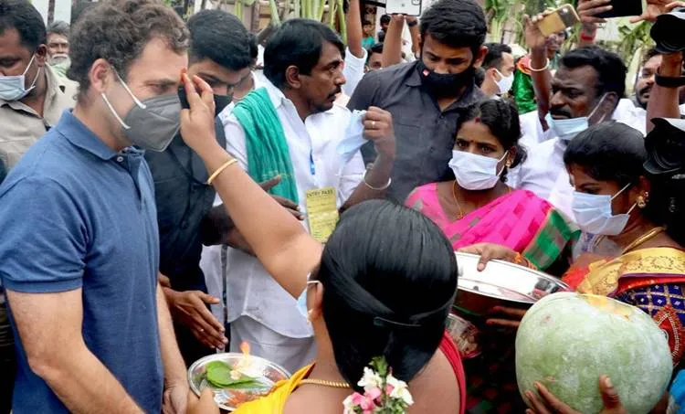 rahul gandhi, രാഹുൽ ഗാന്ധി, jallikattu, ie malayalam