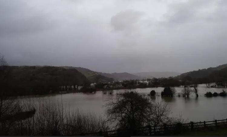 shrewsbury biscuits, mahesh nair, iemalayalam