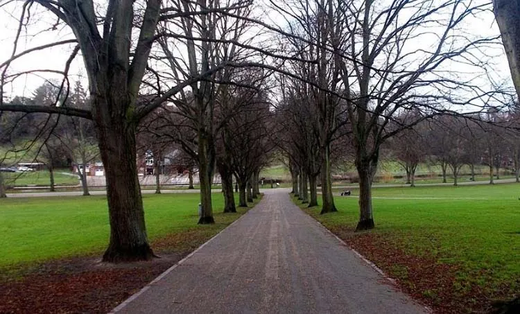 shrewsbury biscuits, mahesh nair, iemalayalam