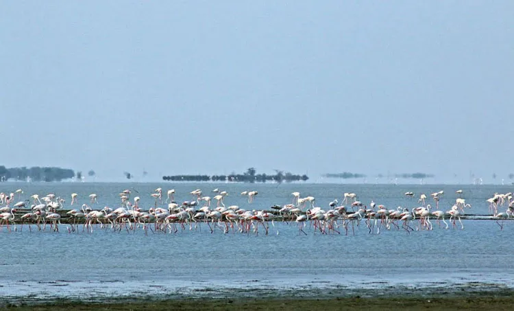 venu , travelogue ,iemalayalam