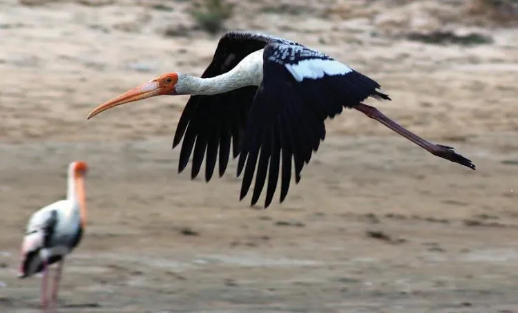 venu , travelogue ,iemalayalam