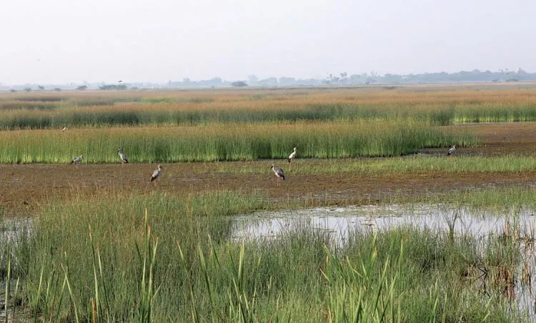 venu , travelogue ,iemalayalam