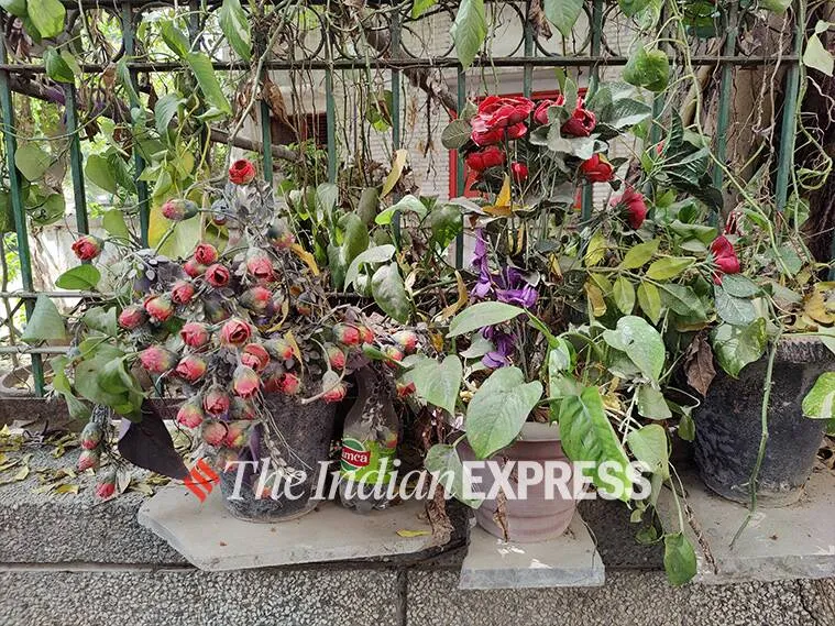 oneplus 9, oneplus 9 review, oneplus 9 camera, oneplus 9 performance, oneplus 9 specifications, oneplus 9 specs, oneplus 9 price, oneplus 9 photos, oneplus 9 mobile review, oneplus 9 price in india, oneplus 9 battery, oneplus 9 performance review, oneplus 9 specs review, oneplus 9 features, oneplus 9 rating, oneplus 9 mobile review, oneplus 9 phone review, oneplus 9 price and specs