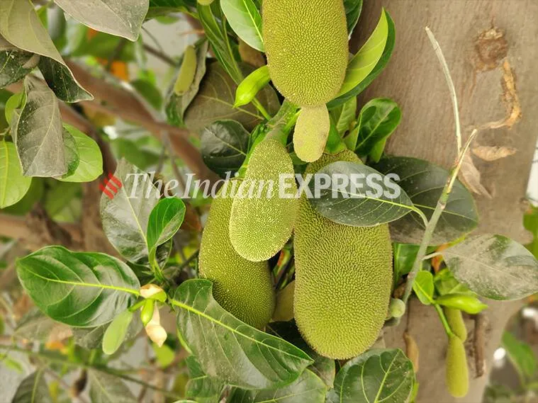 oneplus 9, oneplus 9 review, oneplus 9 camera, oneplus 9 performance, oneplus 9 specifications, oneplus 9 specs, oneplus 9 price, oneplus 9 photos, oneplus 9 mobile review, oneplus 9 price in india, oneplus 9 battery, oneplus 9 performance review, oneplus 9 specs review, oneplus 9 features, oneplus 9 rating, oneplus 9 mobile review, oneplus 9 phone review, oneplus 9 price and specs