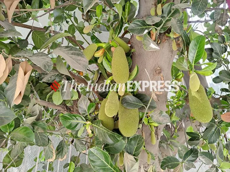 oneplus 9, oneplus 9 review, oneplus 9 camera, oneplus 9 performance, oneplus 9 specifications, oneplus 9 specs, oneplus 9 price, oneplus 9 photos, oneplus 9 mobile review, oneplus 9 price in india, oneplus 9 battery, oneplus 9 performance review, oneplus 9 specs review, oneplus 9 features, oneplus 9 rating, oneplus 9 mobile review, oneplus 9 phone review, oneplus 9 price and specs