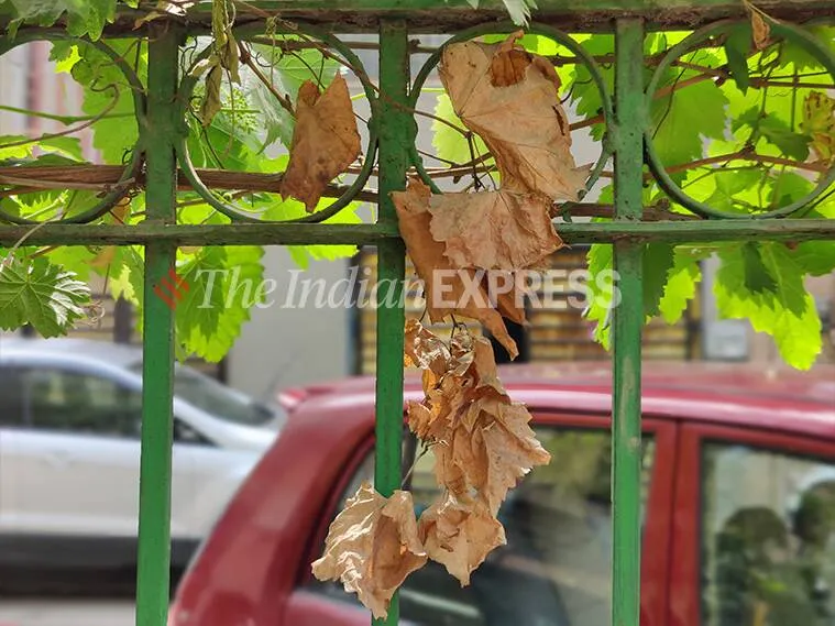 oneplus 9, oneplus 9 review, oneplus 9 camera, oneplus 9 performance, oneplus 9 specifications, oneplus 9 specs, oneplus 9 price, oneplus 9 photos, oneplus 9 mobile review, oneplus 9 price in india, oneplus 9 battery, oneplus 9 performance review, oneplus 9 specs review, oneplus 9 features, oneplus 9 rating, oneplus 9 mobile review, oneplus 9 phone review, oneplus 9 price and specs