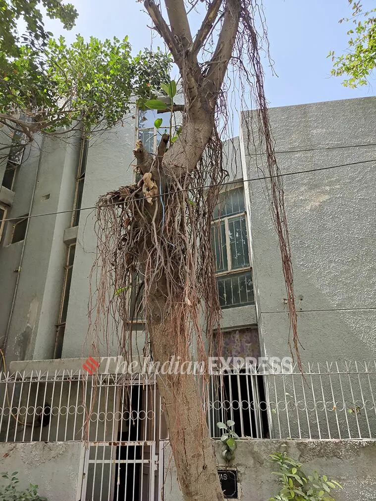 oneplus 9, oneplus 9 review, oneplus 9 camera, oneplus 9 performance, oneplus 9 specifications, oneplus 9 specs, oneplus 9 price, oneplus 9 photos, oneplus 9 mobile review, oneplus 9 price in india, oneplus 9 battery, oneplus 9 performance review, oneplus 9 specs review, oneplus 9 features, oneplus 9 rating, oneplus 9 mobile review, oneplus 9 phone review, oneplus 9 price and specs