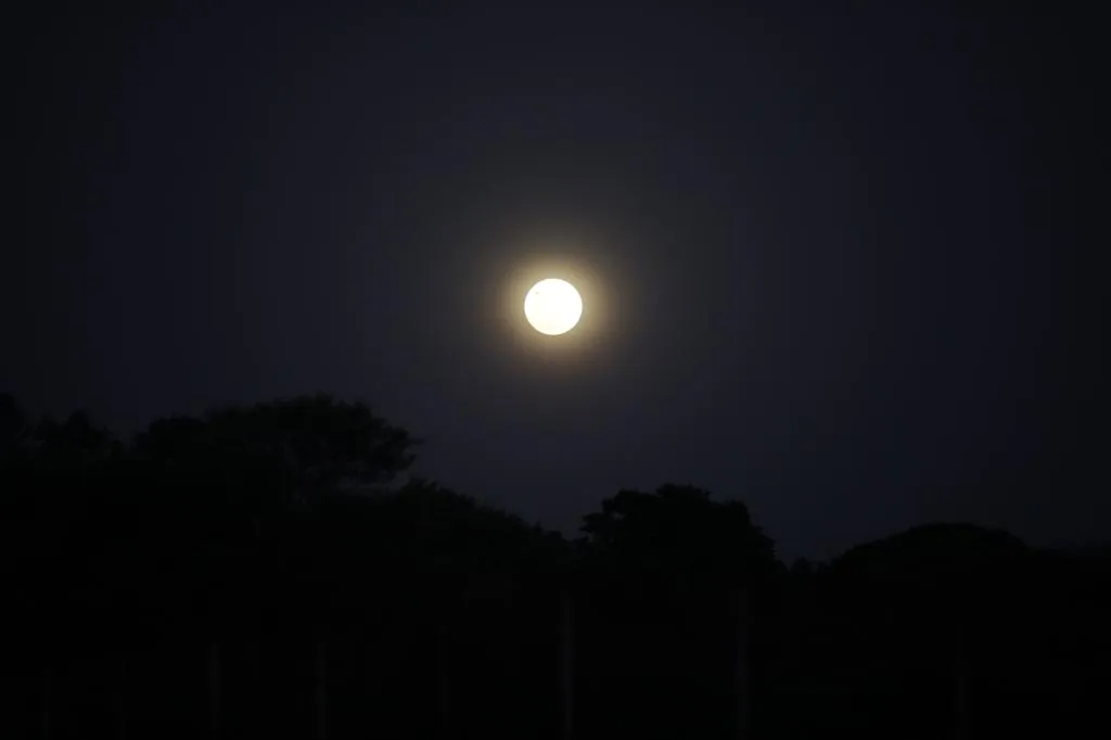 publive-image