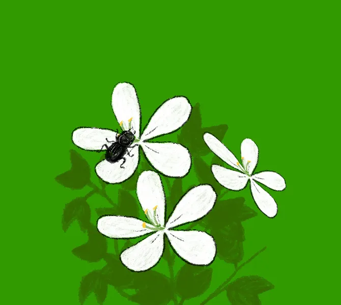 priya as, childrens stories , iemalayalam