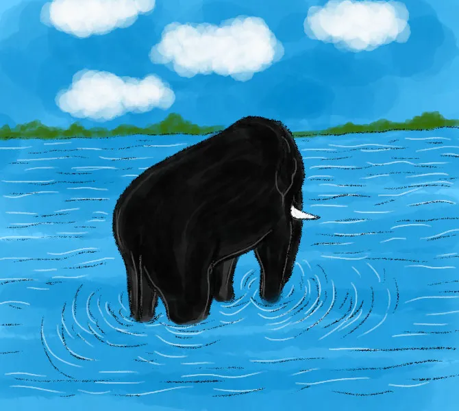 k r viswanathan , childrens novel , iemalayalam