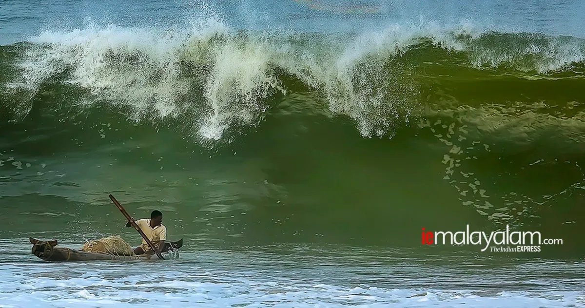 world photography day, wildlife photography, nature photography, kerala wildlife photographs, rare wildlife photographs, rare wildlife photographs kerala, kerala forest photos, kerala nature photos, maheen hassan wildlife photos, indian express malayalam, ie malyalam