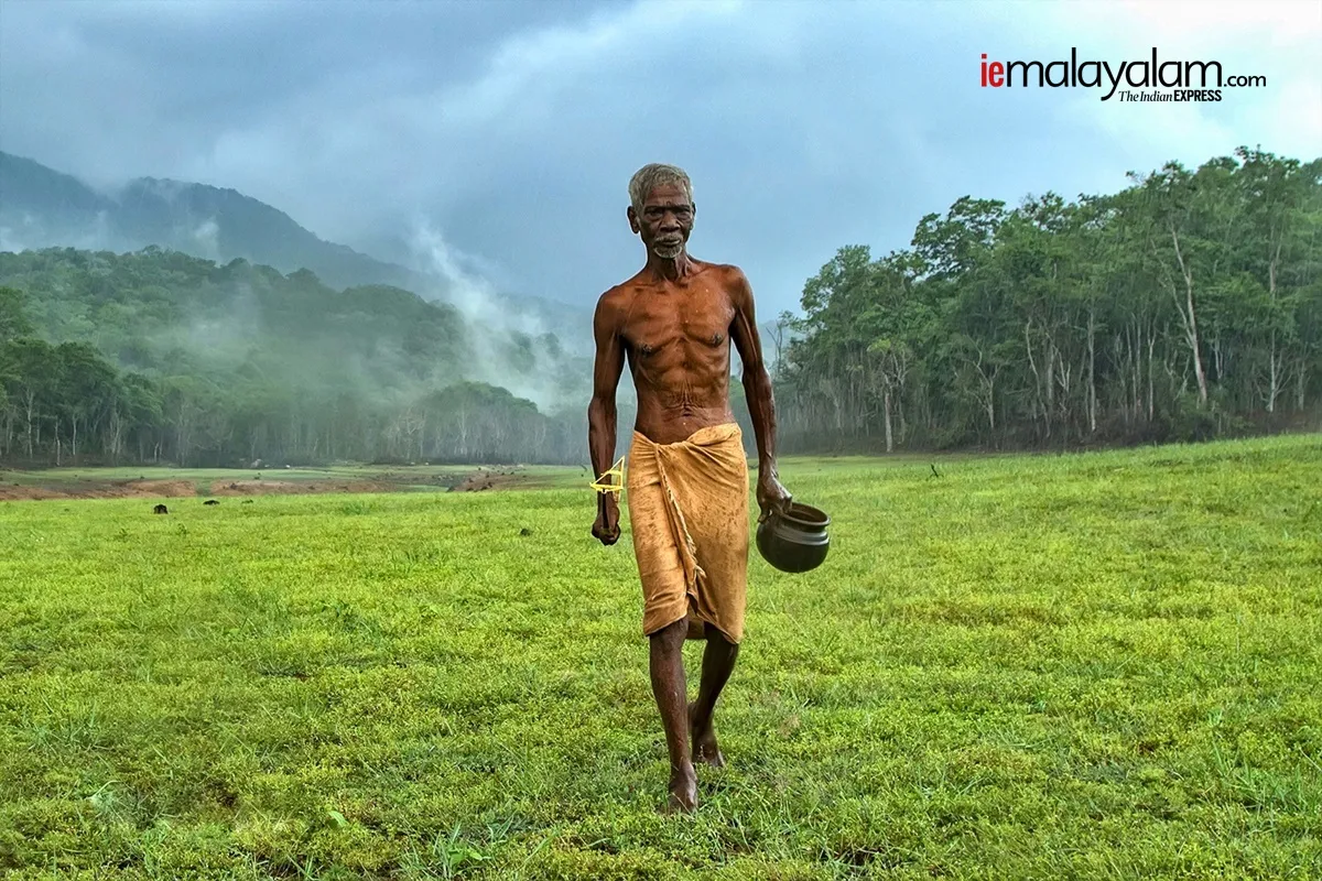 world photography day, wildlife photography, nature photography, kerala wildlife photographs, rare wildlife photographs, rare wildlife photographs kerala, kerala forest photos, kerala nature photos, maheen hassan wildlife photos, indian express malayalam, ie malyalam