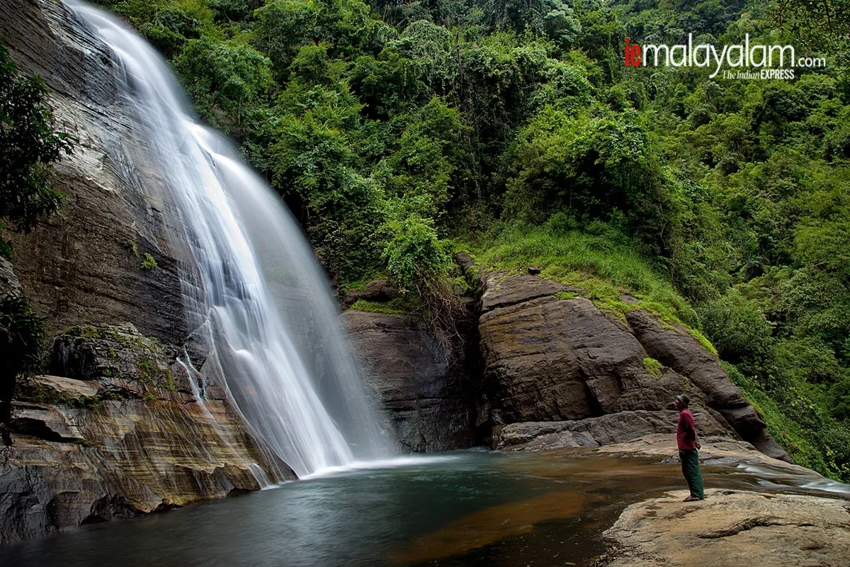 world photography day, wildlife photography, nature photography, kerala wildlife photographs, rare wildlife photographs, rare wildlife photographs kerala, kerala forest photos, kerala nature photos, maheen hassan wildlife photos, indian express malayalam, ie malyalam