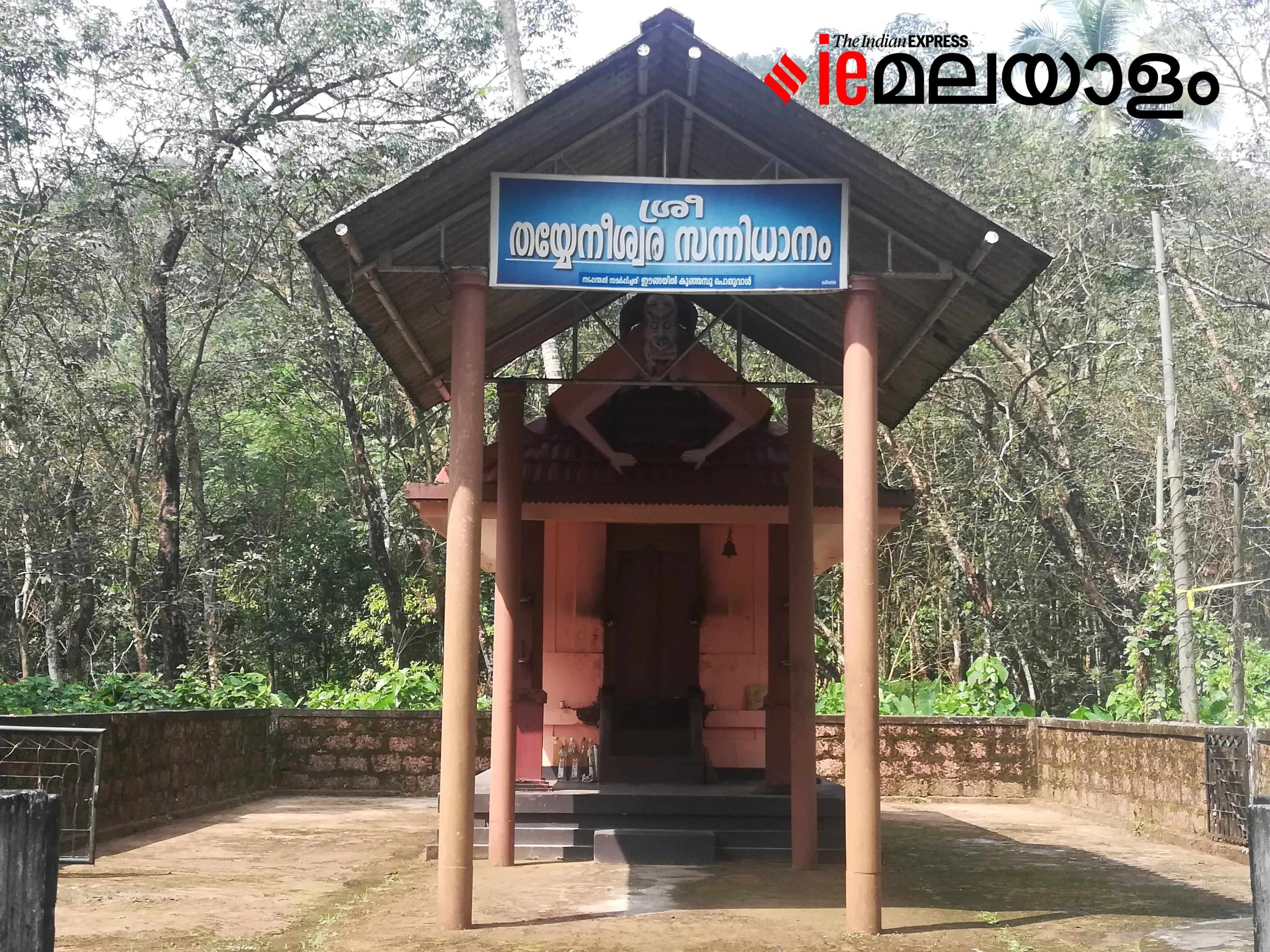 Theyyam, Kaliyattam, Perunkaliyattam,Theyyam Kannur, Theyyam Kasargod, Theyyam season, Theyyam Thulappath, Theyyam Covid19, Kathivanoor Veeran Theyyam, Chamundi Theyyam, Bhagavati Theyyam, Muthappan Theyyam, kerala news, news in malayam, latest news, malayalam news, indian express malayalam, ie malayalam