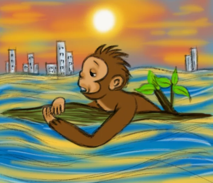 sheeba e k , story, iemalayalam