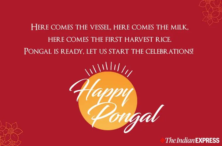 pongal, pongal wishes, ie malayalam
