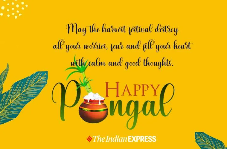 pongal, pongal wishes, ie malayalam