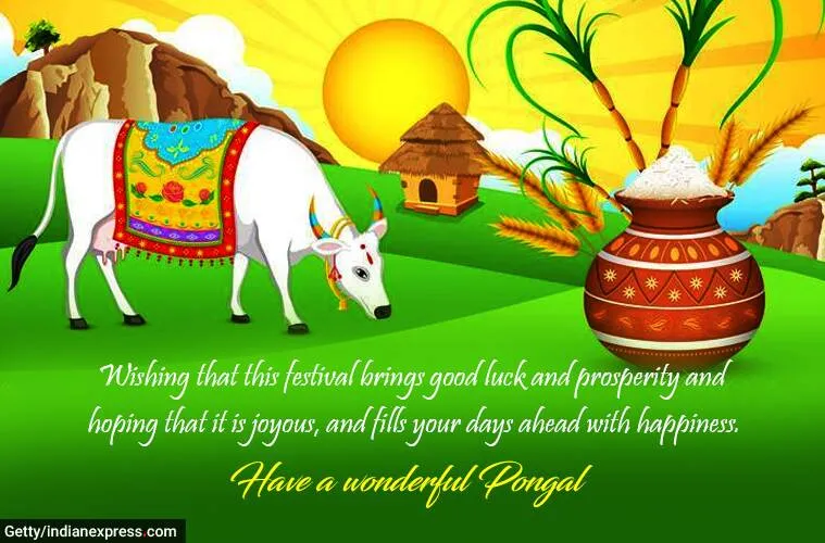 pongal, pongal wishes, ie malayalam