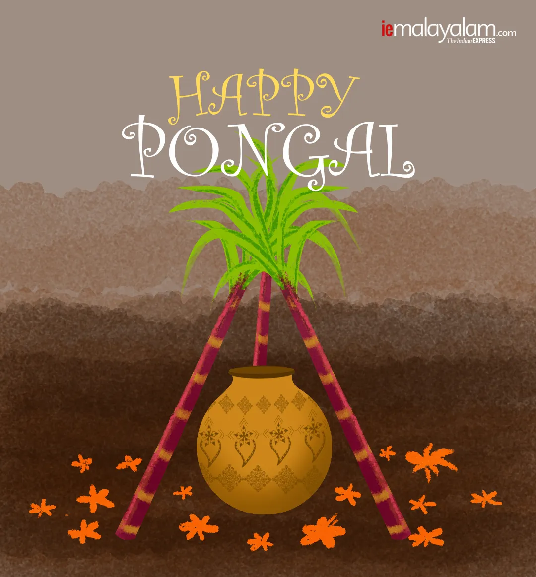 pongal, pongal wishes, ie malayalam