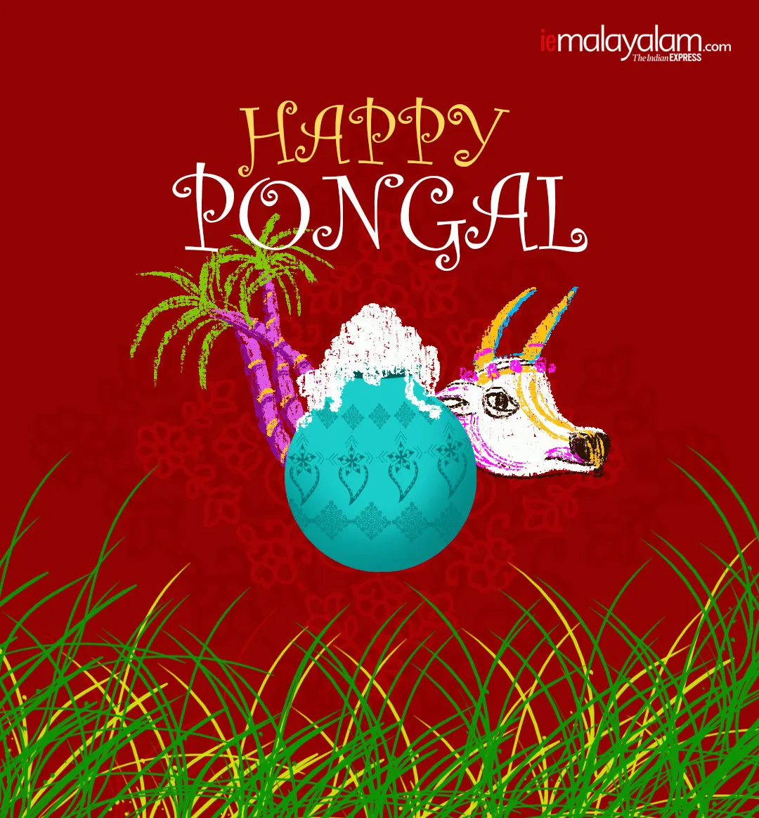 pongal, pongal wishes, ie malayalam