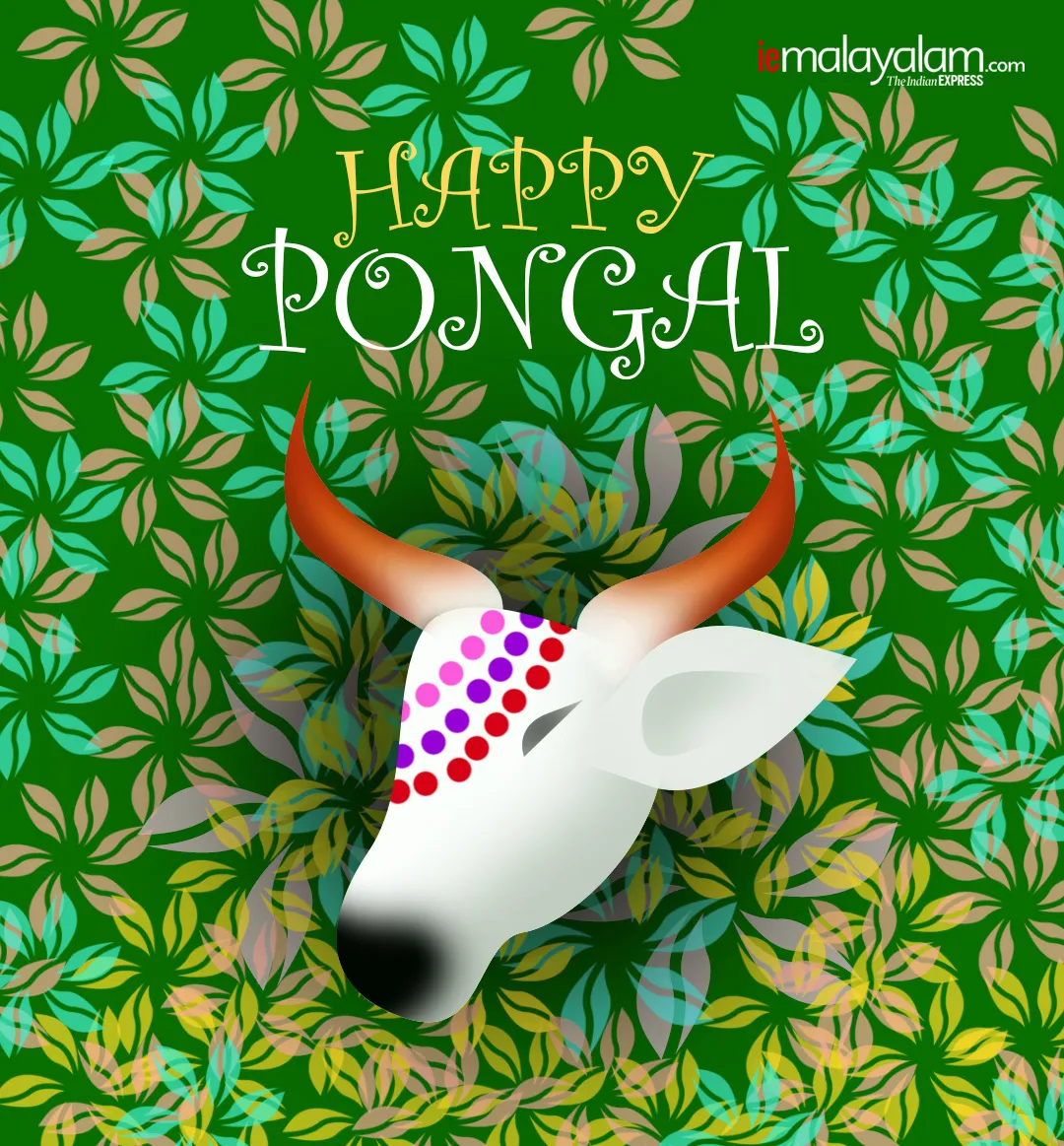 pongal, pongal wishes, ie malayalam
