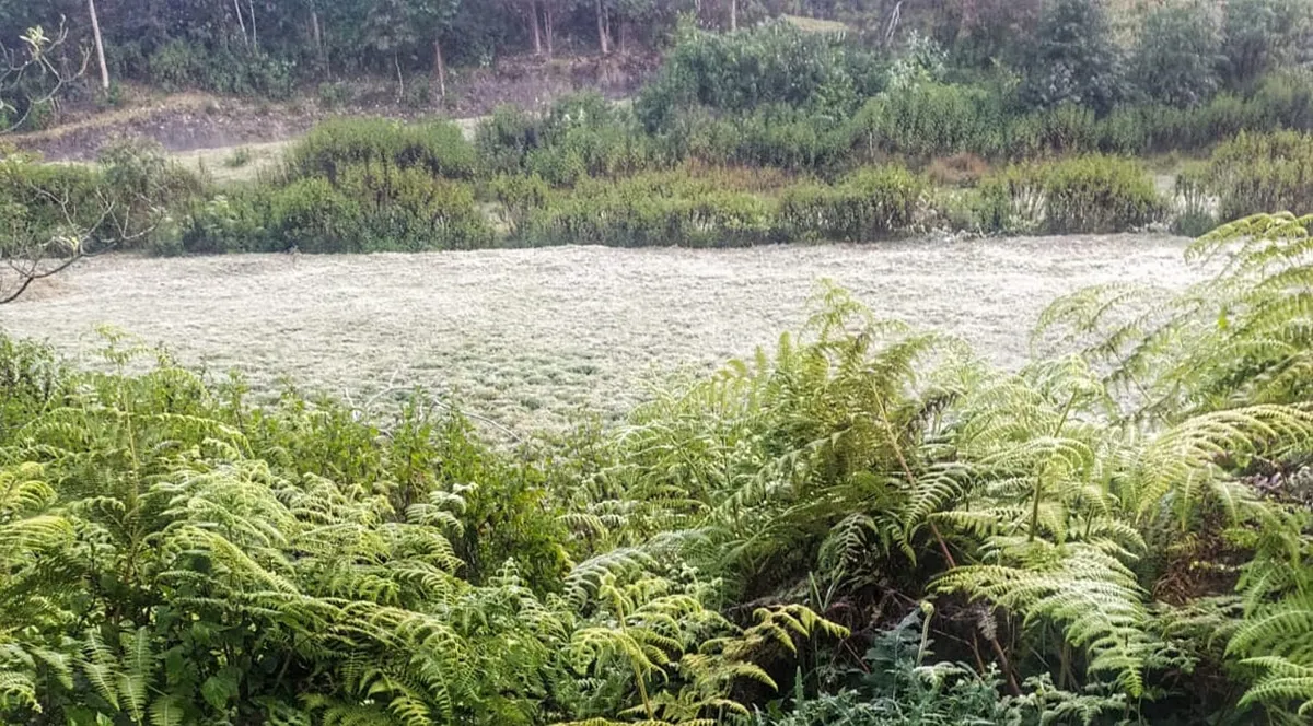 Munnar, Munnar snowfall, Munnar tourism, ie malayalam