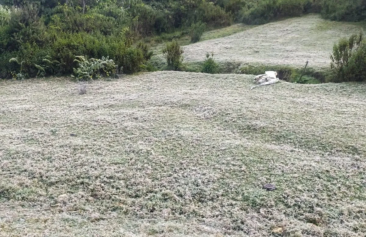 Munnar, Munnar snowfall, Munnar tourism, ie malayalam