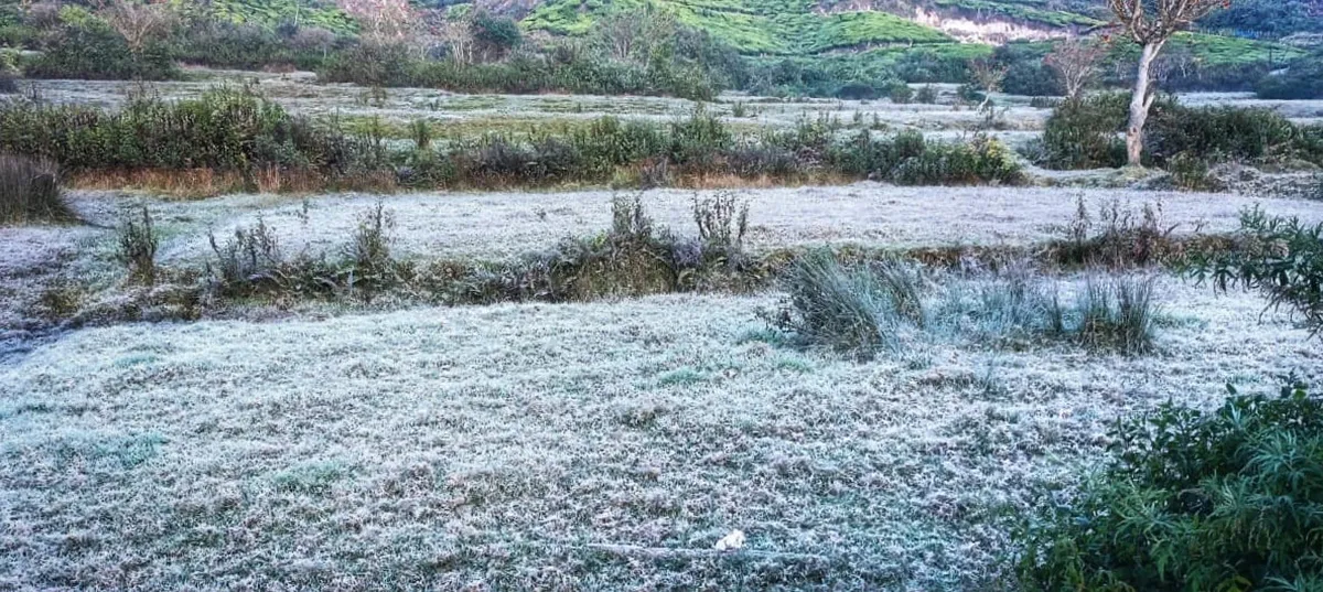 Munnar, Munnar snowfall, Munnar tourism, ie malayalam